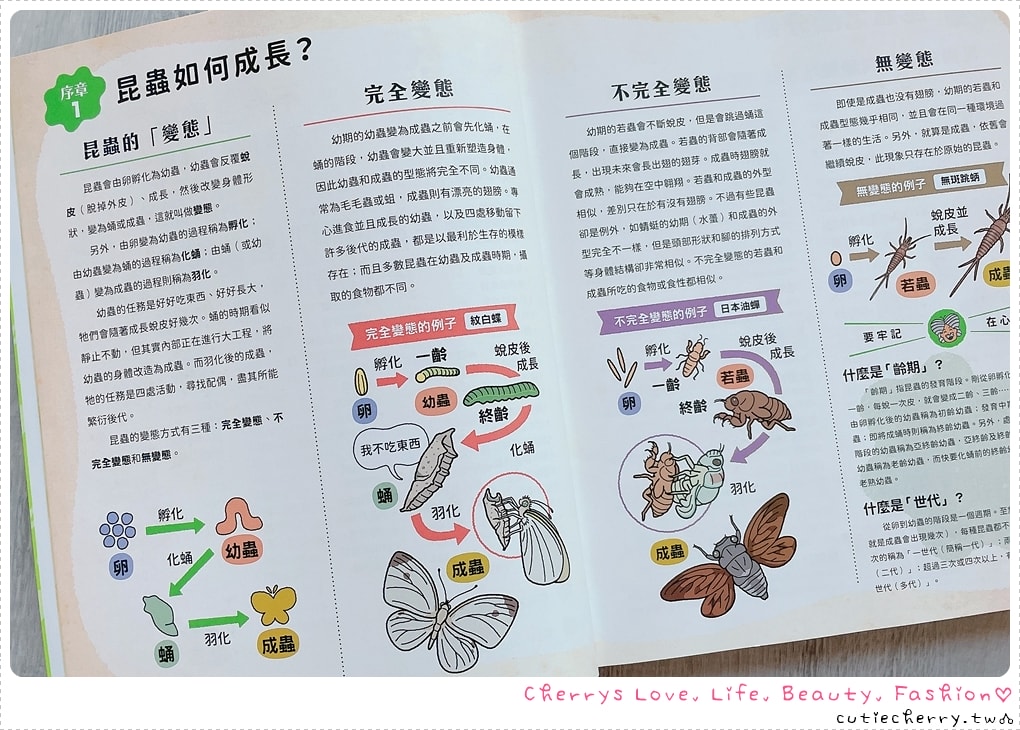 采實童書推薦｜0-12 歲分齡書單與閱讀心得，麵包小偷、黑魔法糖果店、生活素養小學堂，幼兒園到小學生繪本與橋樑書整理