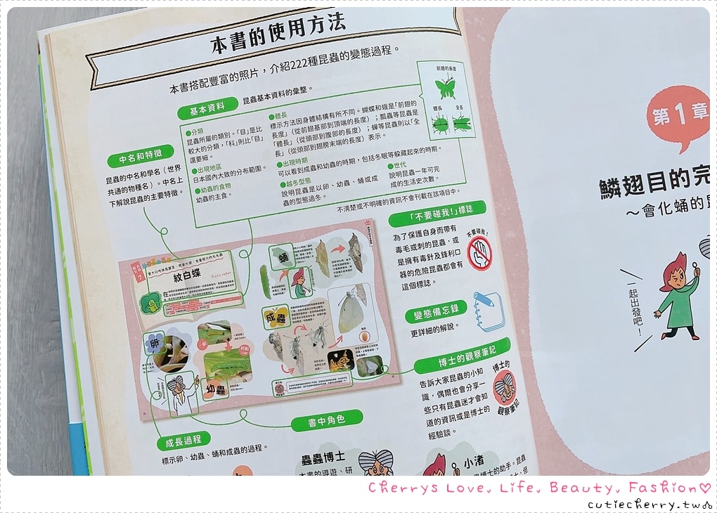 采實童書推薦｜0-12 歲分齡書單與閱讀心得，麵包小偷、黑魔法糖果店、生活素養小學堂，幼兒園到小學生繪本與橋樑書整理