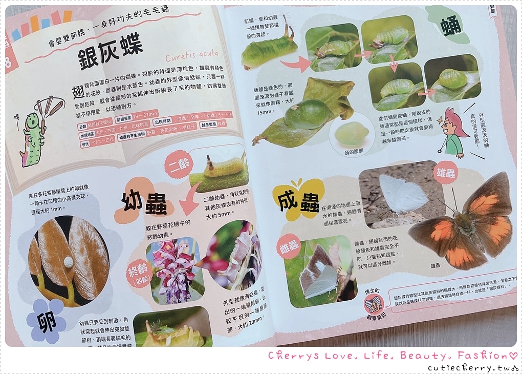 采實童書推薦｜0-12 歲分齡書單與閱讀心得，麵包小偷、黑魔法糖果店、生活素養小學堂，幼兒園到小學生繪本與橋樑書整理