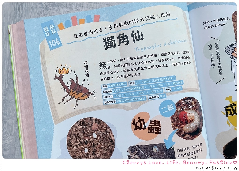 采實童書推薦｜0-12 歲分齡書單與閱讀心得，麵包小偷、黑魔法糖果店、生活素養小學堂，幼兒園到小學生繪本與橋樑書整理