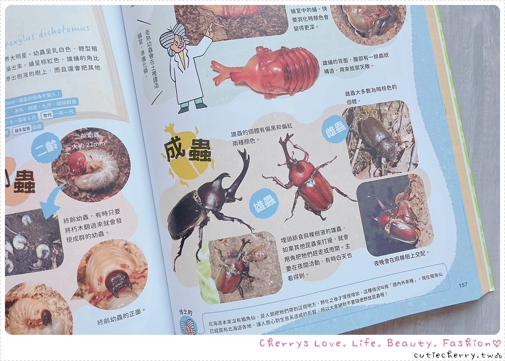 采實童書推薦｜0-12 歲分齡書單與閱讀心得，麵包小偷、黑魔法糖果店、生活素養小學堂，幼兒園到小學生繪本與橋樑書整理