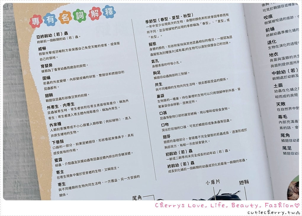 采實童書推薦｜0-12 歲分齡書單與閱讀心得，麵包小偷、黑魔法糖果店、生活素養小學堂，幼兒園到小學生繪本與橋樑書整理