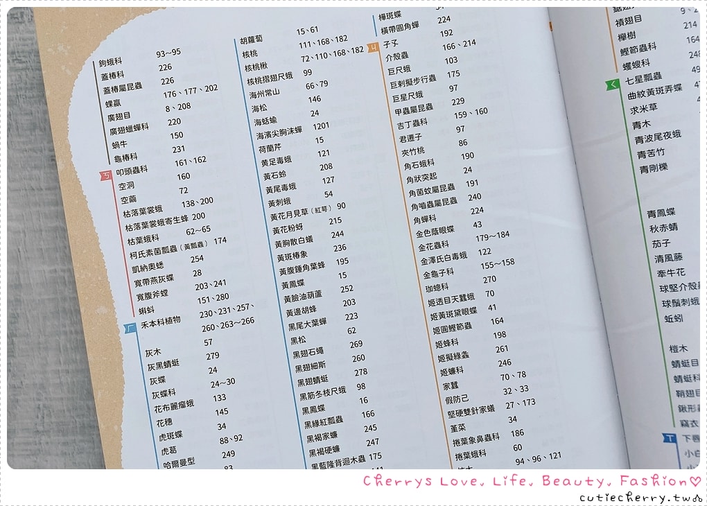 采實童書推薦｜0-12 歲分齡書單與閱讀心得，麵包小偷、黑魔法糖果店、生活素養小學堂，幼兒園到小學生繪本與橋樑書整理